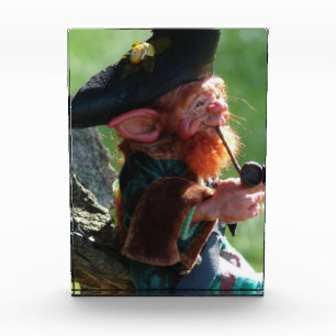 echte leprechaun fotoblokken