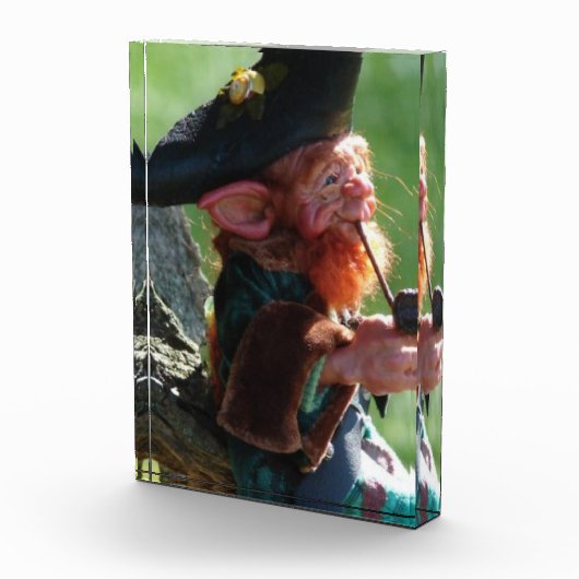 echte leprechaun fotoblokken (Rechts)