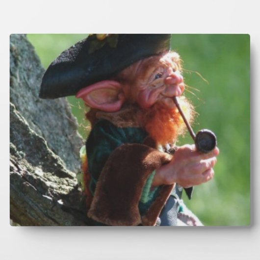 echte leprechaun fotoplaat (Voorkant)