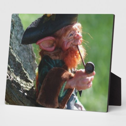 echte leprechaun fotoplaat (Zijkant)