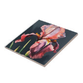 Echte Lichte Pastel Crimson Roze Iris Keramische T Tegeltje (Zijkant)