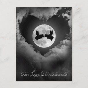 Echte liefde is ongelooflijk vliegende varkens zoe briefkaart