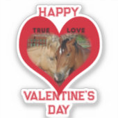 Echte Liefde Paarden Gesprek Hart Valentijn Sticker (Voorkant)