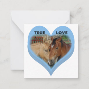 Echte Liefde Paarden Gesprek Harten Valentijn Notitiekaartje