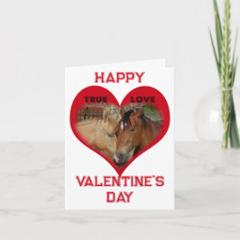 Echte Liefde Paarden Rode Conversatie Hart Valenti Notitiekaartje
