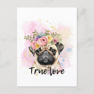 Echte liefde, pug-liefde, beste vriend hond briefkaart