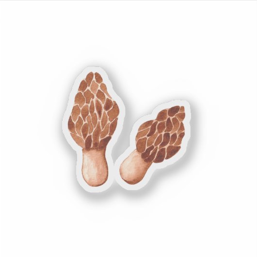 Echte Morelen (Morchella) Sticker (Voorkant)