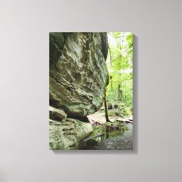 Echte natuur canvasprint | Mistige bos huisdecorat Canvas Afdruk
