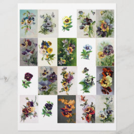 Echte (niet AI) antieke viooltjes uit het Victoria