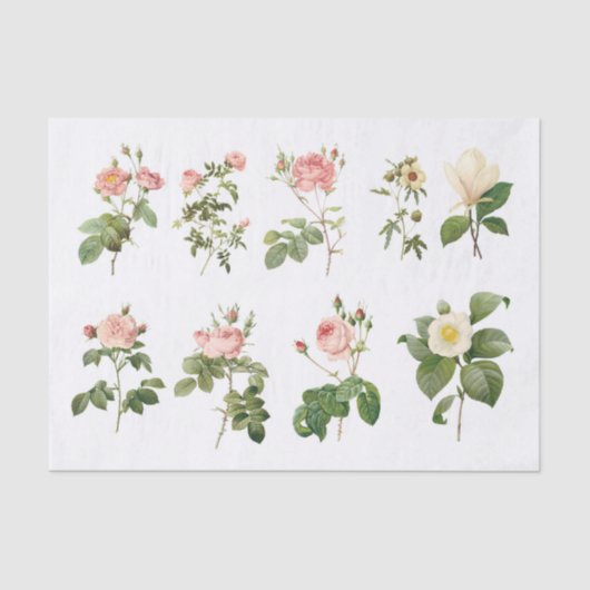 Echte (niet AI) botanische bloemen Tissuepapier (Voorkant)