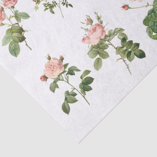 Echte (niet AI)  botanische bloemen Tissuepapier (Detail)