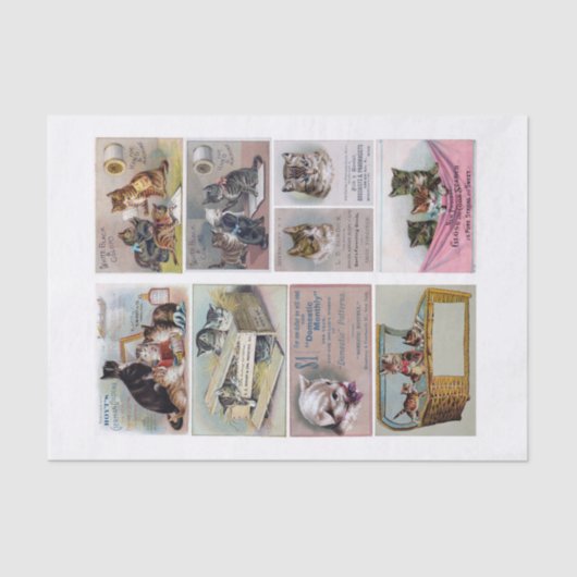 Echte (niet AI)  Cat Themd Trade Kaarten Tissuepapier (Voorkant)