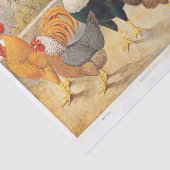 Echte (niet AI) kippen en haan kippen Tissuepapier (Detail)