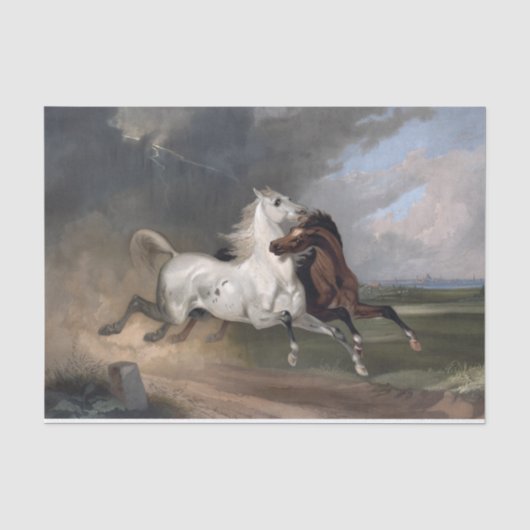 Echte (niet AI) paarden in een Storm Tissuepapier (Voorkant)