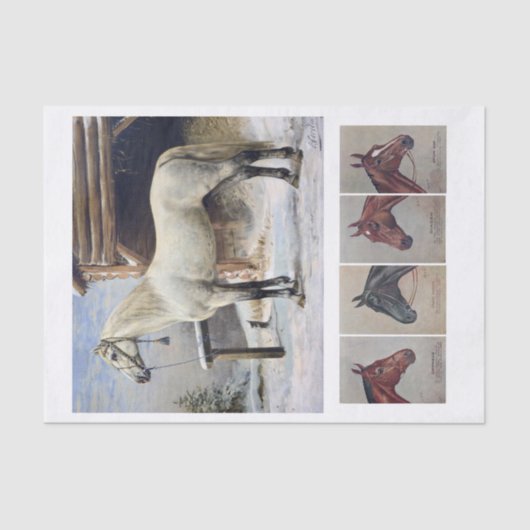 Echte (niet AI)  paardenschilderijen Tissuepapier (Voorkant)