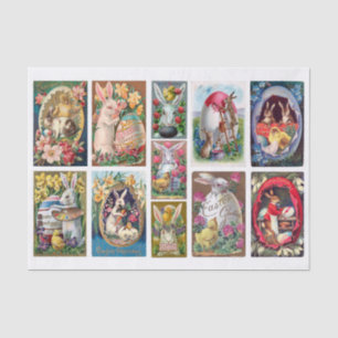 Echte (niet AI)  paashaas, konijnen Tissuepapier