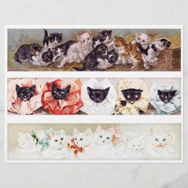 Echte (niet AI)  Victoriaans Panoramische Katten