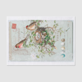 Echte (niet AI)  Victoriaans Vogelcollage Tissuepapier