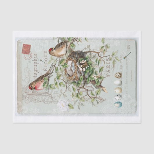 Echte (niet AI)  Victoriaans Vogelcollage Tissuepapier (Voorkant)