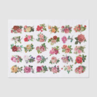 Echte (niet AI) Vintage Kleine Botanische Bloemen