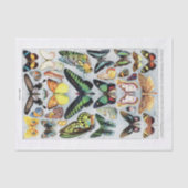 Echte (niet AI)  vlindergrafiek Tissuepapier (Voorkant)