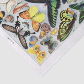 Echte (niet AI)  vlindergrafiek Tissuepapier (Detail)