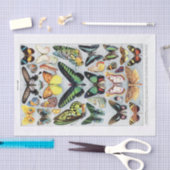 Echte (niet AI)  vlindergrafiek Tissuepapier (Craft)