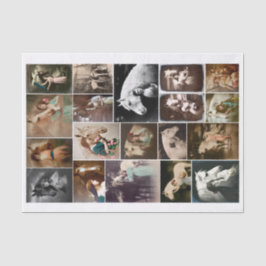 Echte (niet AI) Vrouwen met Paarden Foto's Tissuepapier