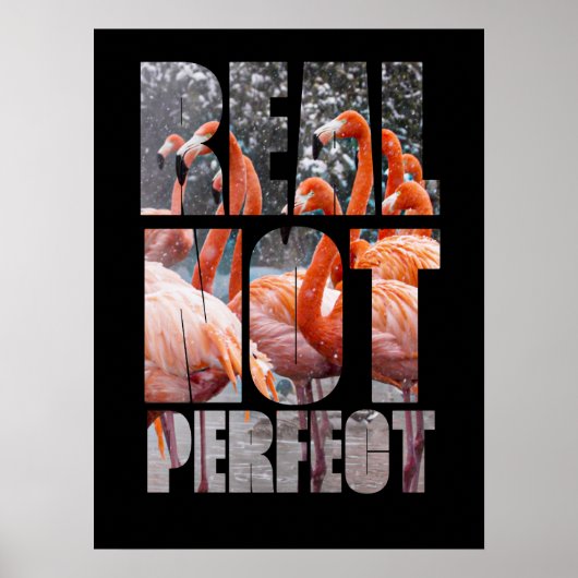 Echte niet Perfecte Citaat Flamingo Tropical Birds Poster (Voorkant)