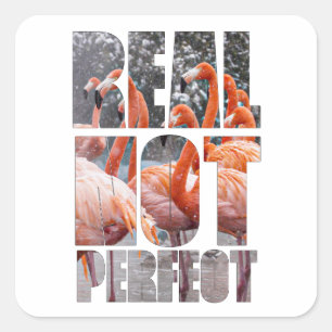 Echte niet Perfecte Tropische Sticker van het Cita