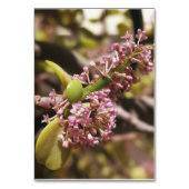 Echte omgeving uitzicht kaart (Voorkant)