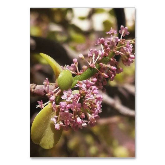 Echte omgeving uitzicht kaart (Voorkant)