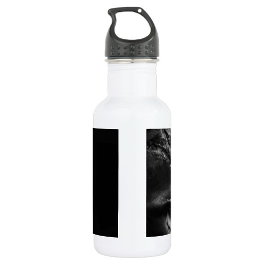 Echte Oude Greyscale Schedel Waterfles (Achterkant)