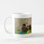 Echte paaskip koffiemok (Links)