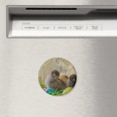 Echte paaskip magneet (Insitu (Vaatwasser))