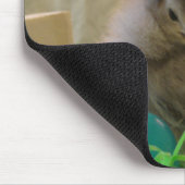 Echte paaskip muismat (Hoek)