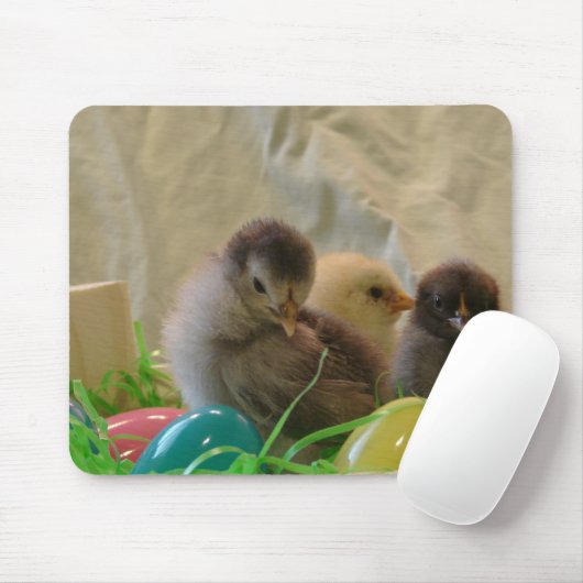 Echte paaskip muismat (Met muis)