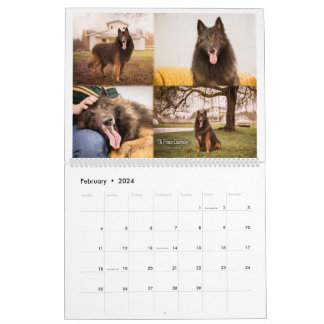 Echte Ridder Belgische Tervuren hond/puppy Kalende Kalender