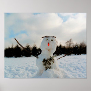 Echte sneeuwfoto poster