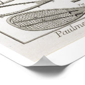 Echte tennis en de bouw van racketspelen, van poster (Hoek)