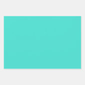 Echte Turquoise Blauw Groen Southwestern Effen Kle Inpakpapier Vel (Voorkant 3)