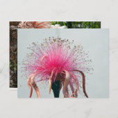 Echte Vezel Optische Bloem en Flamingo Briefkaart (Voorkant / Achterkant)