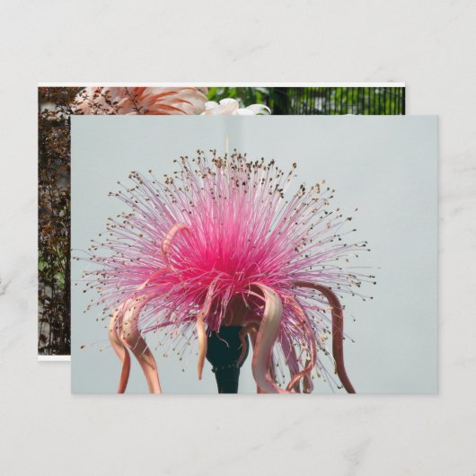 Echte Vezel Optische Bloem en Flamingo Briefkaart (Voorkant / Achterkant)