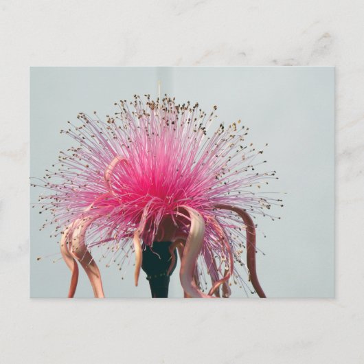 Echte Vezel Optische Bloem en Flamingo Briefkaart (Voorkant)