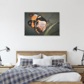 echte vlinder wandkunst, vlinder, vlinder canvas afdruk (Insitu (Slaapkamer))