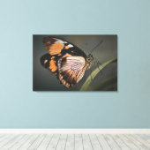 echte vlinder wandkunst, vlinder, vlinder canvas afdruk (Insitu (Houten vloer))