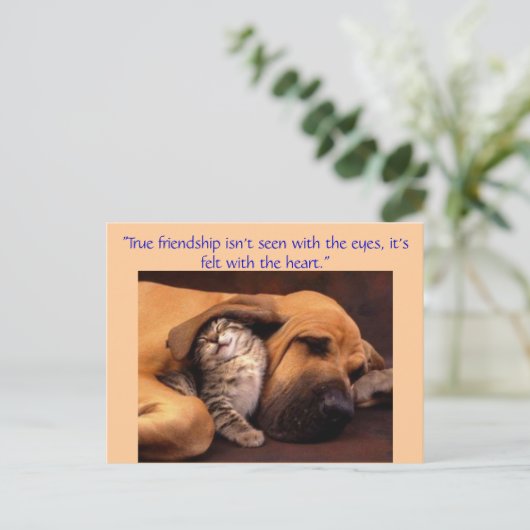 Echte vriendschap... briefkaart (Staand voorkant)