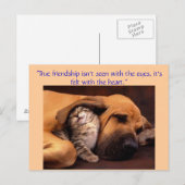 Echte vriendschap... briefkaart (Voorkant / Achterkant)