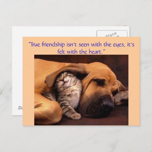 Echte vriendschap... briefkaart (Voorkant / Achterkant)