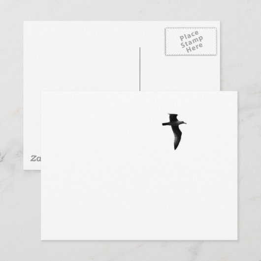 Echte vrijheid briefkaart (Voorkant / Achterkant)